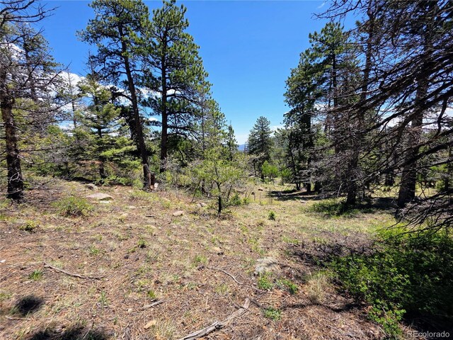 53 Trail Dr, Cotopaxi, CO 81223 - photo 15
