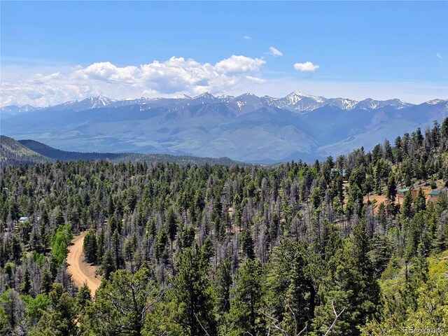 53 Trail Dr, Cotopaxi, CO 81223 - photo 16