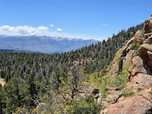 53 Trail Dr, Cotopaxi, CO 81223 - photo 17