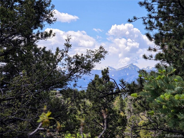 53 Trail Dr, Cotopaxi, CO 81223 - photo 18