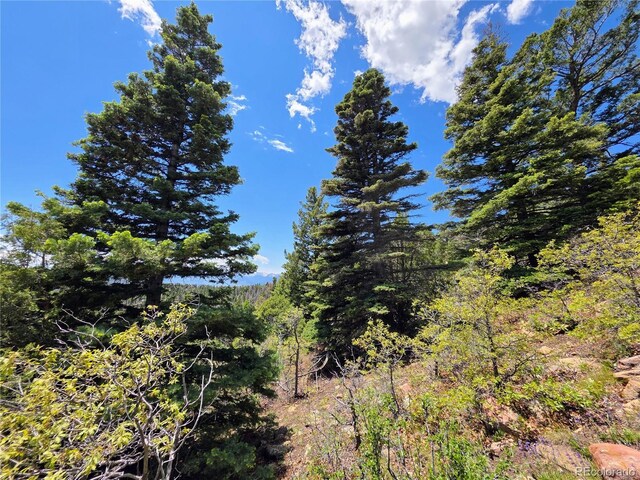 53 Trail Dr, Cotopaxi, CO 81223 - photo 19