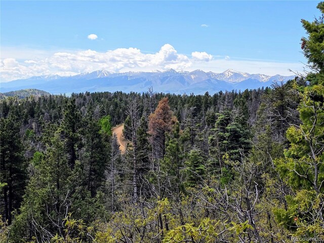 53 Trail Dr, Cotopaxi, CO 81223 - photo 20