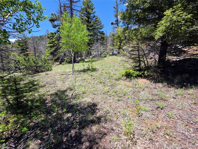 53 Trail Dr, Cotopaxi, CO 81223 - photo 21