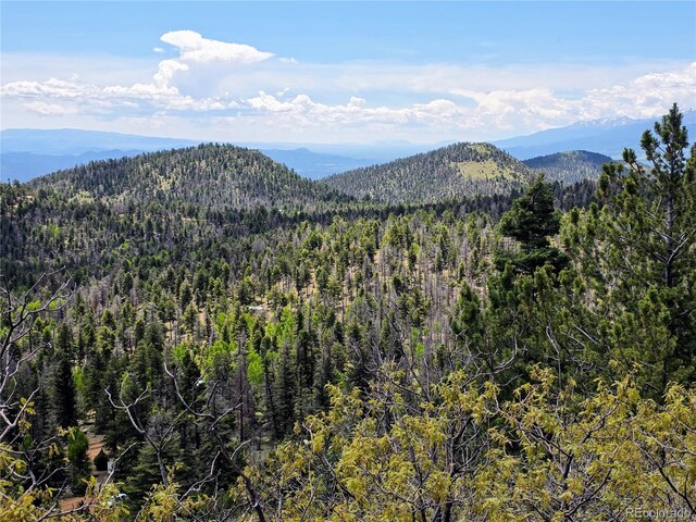 53 Trail Dr, Cotopaxi, CO 81223 - photo 22