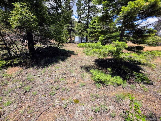 53 Trail Dr, Cotopaxi, CO 81223 - photo 23