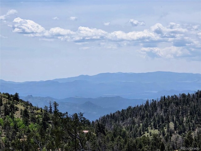 53 Trail Dr, Cotopaxi, CO 81223 - photo 25