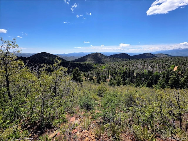 53 Trail Dr, Cotopaxi, CO 81223 - photo 27