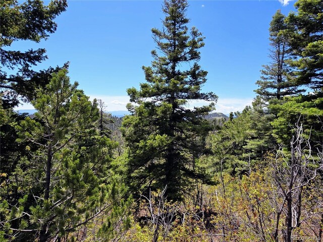 53 Trail Dr, Cotopaxi, CO 81223 - photo 28