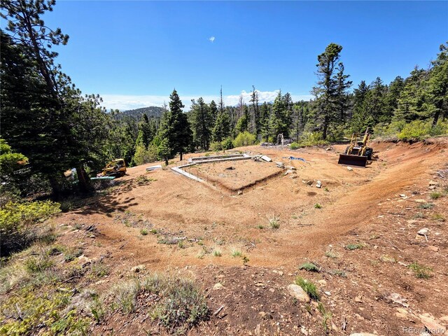 53 Trail Dr, Cotopaxi, CO 81223 - photo 29