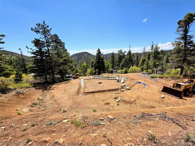 53 Trail Dr, Cotopaxi, CO 81223 - photo 30