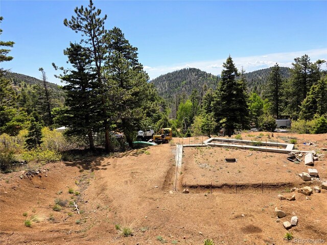 53 Trail Dr, Cotopaxi, CO 81223 - photo 31