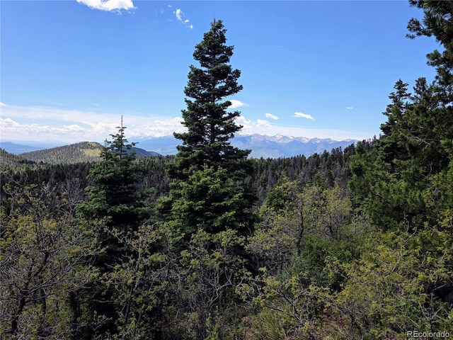 53 Trail Dr, Cotopaxi, CO 81223 - photo 34