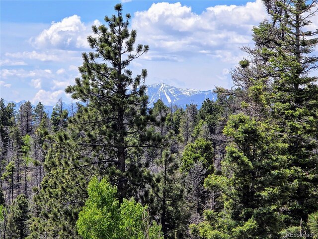 53 Trail Dr, Cotopaxi, CO 81223 - photo 35