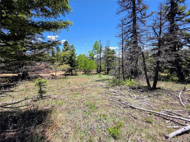 53 Trail Dr, Cotopaxi, CO 81223 - photo 36