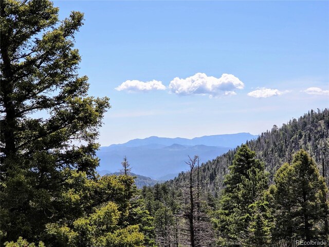 53 Trail Dr, Cotopaxi, CO 81223 - photo 37
