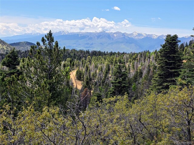 53 Trail Dr, Cotopaxi, CO 81223 - photo 38