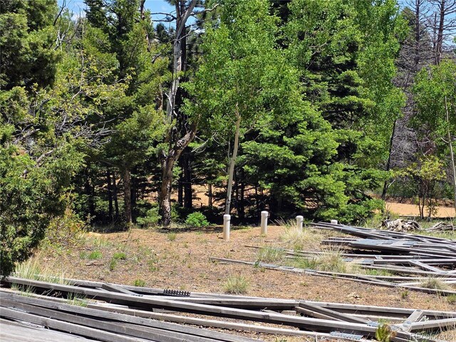 53 Trail Dr, Cotopaxi, CO 81223 - photo 40