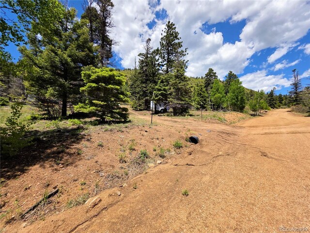 53 Trail Dr, Cotopaxi, CO 81223 - photo 43