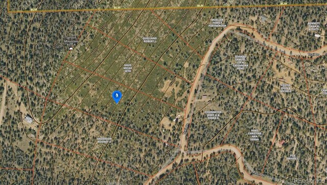 53 Trail Dr, Cotopaxi, CO 81223 - photo 45