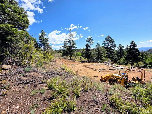 53 Trail Dr, Cotopaxi, CO 81223 - photo 49