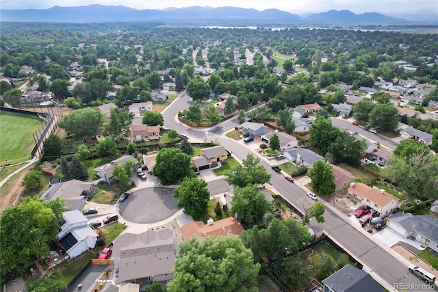 8566 Cody Ct, Arvada, CO 80005 - photo 41