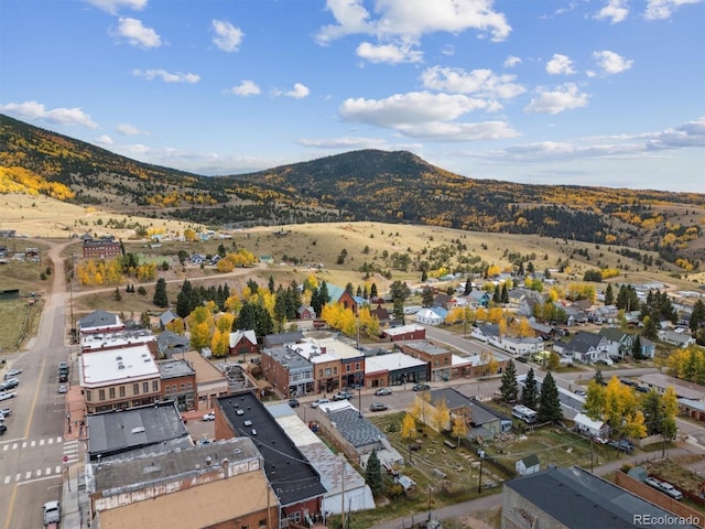 bird's eye view with a mountain view