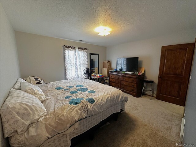 495 E Ave, Limon, CO 80828 - bedroom with light colored carpet and a textured ceiling