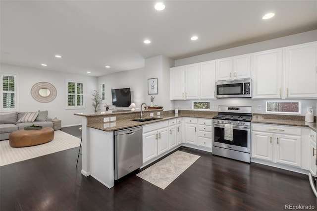 3433 N Wabash St, Denver, CO 80238 - kitchen featuring stainless steel appliances, open floor plan, a peninsula, dark wood-style floors, and white cabinets
