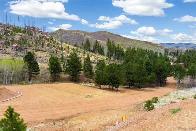 13990 S State Highway 67, Woodland Park, CO 80863