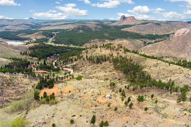 13990 S State Highway 67, Woodland Park, CO 80863