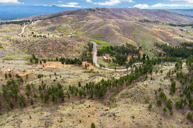 13990 S State Highway 67, Woodland Park, CO 80863