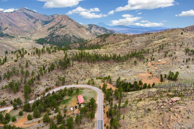 13990 S State Highway 67, Woodland Park, CO 80863