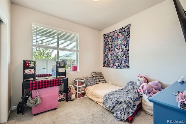 878 Depot Dr, Milliken, CO 80543 - photo 21