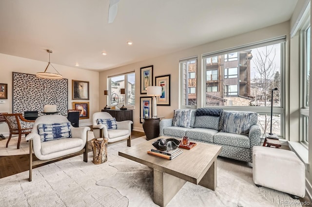 living room featuring light hardwood / wood-style floors and a healthy amount of sunlight