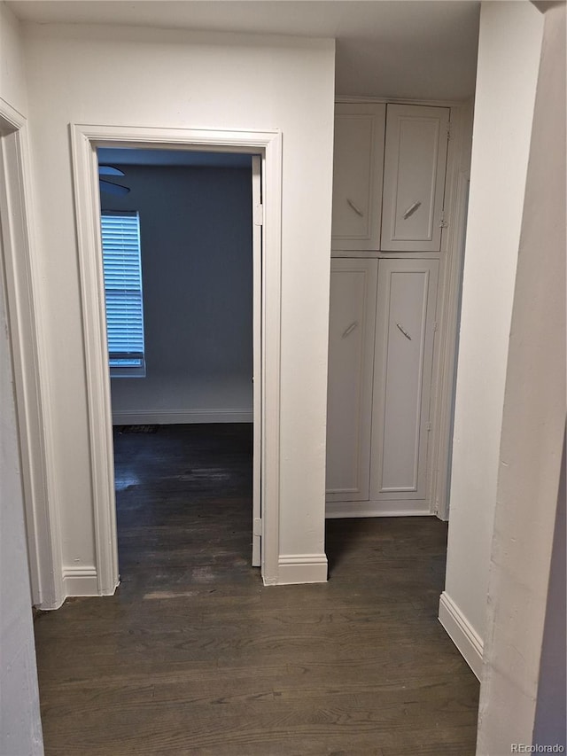 hallway featuring dark hardwood / wood-style floors