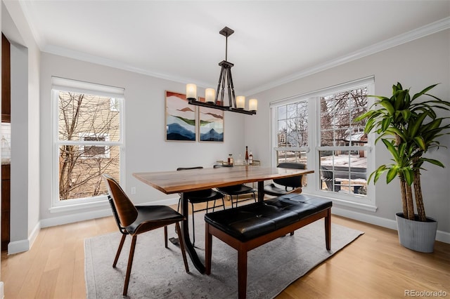 dining room featuring light wood-type flooring, plenty of natural light, and ornamental molding