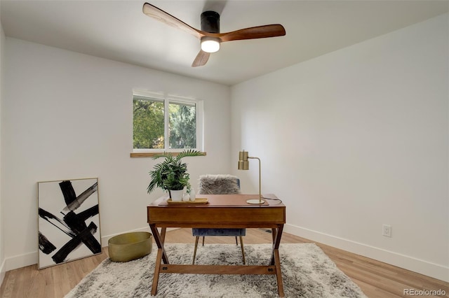 office featuring ceiling fan and hardwood / wood-style floors