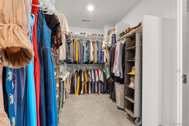 4960 Malaya St, Denver, CO 80249 - photo 22