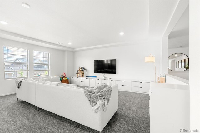 4960 Malaya St, Denver, CO 80249 - photo 24