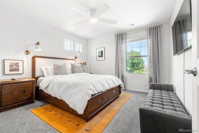 4960 Malaya St, Denver, CO 80249 - photo 29