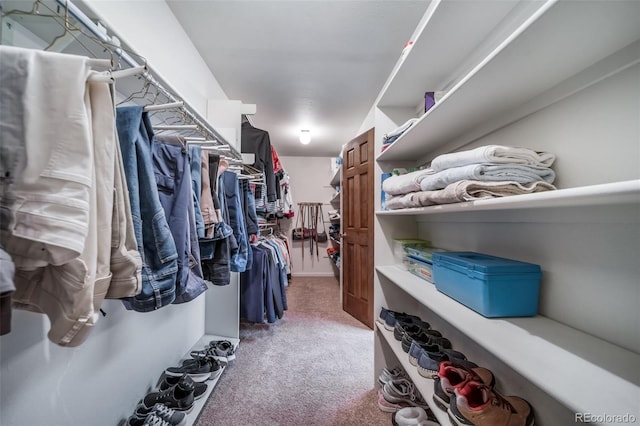 spacious closet with carpet flooring