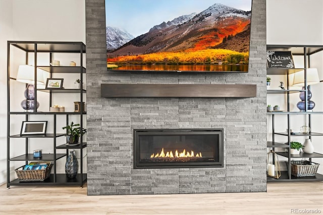 8985 Chalk Creek Pl, Littleton, CO 80125 - detailed view of a glass covered fireplace