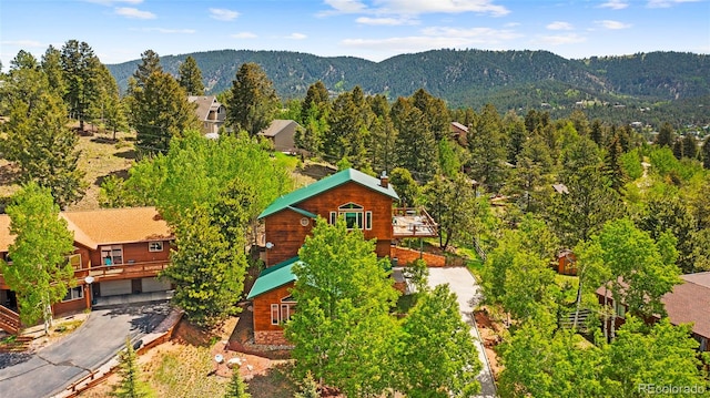 352 Gray Horse Cir, Woodland Park, CO 80863 - photo 2