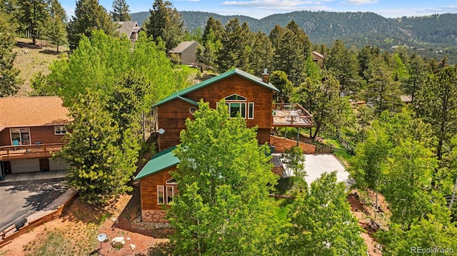 352 Gray Horse Cir, Woodland Park, CO 80863 - photo 4