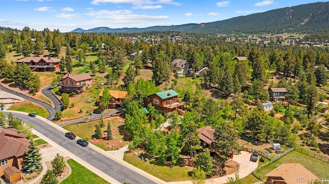 352 Gray Horse Cir, Woodland Park, CO 80863 - photo 41