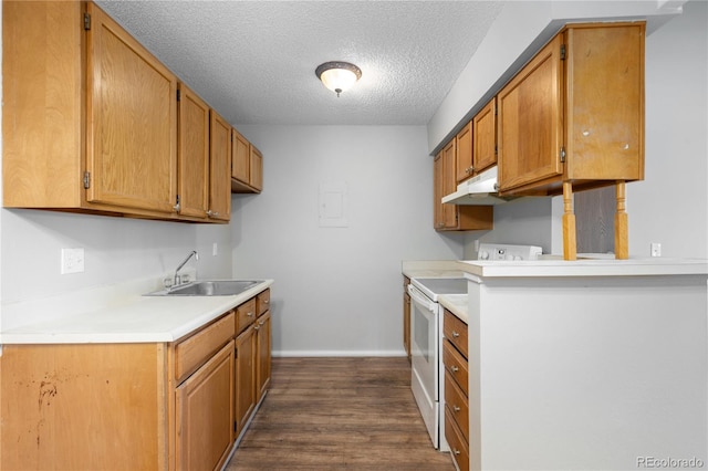 kitchen with sink, dark hardwood / wood-style flooring, white electric stove, and a textured ceiling