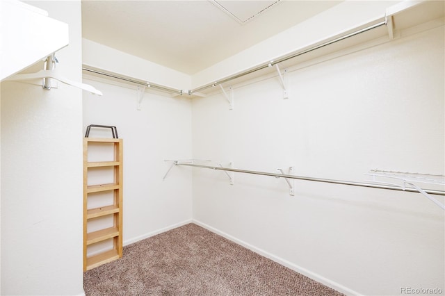 1747 N Washington St Unit C303, Denver, CO 80203 - photo 18