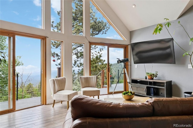 11760 Baca Rd, Conifer, CO 80433 - photo 7