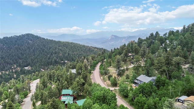 11760 Baca Rd, Conifer, CO 80433 - photo 32