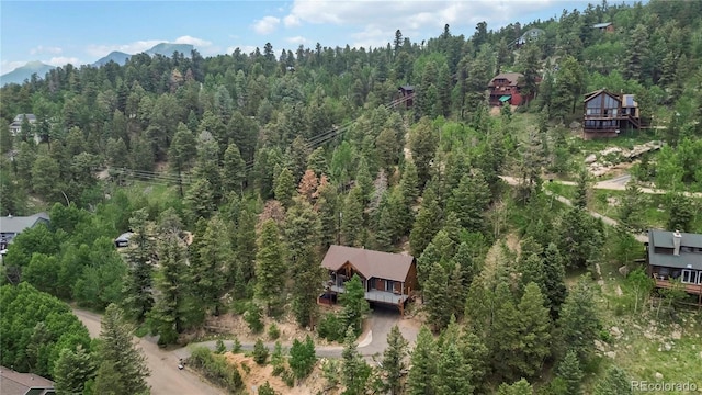 11760 Baca Rd, Conifer, CO 80433 - photo 34